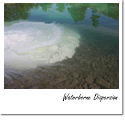 Waterborne Dispersion