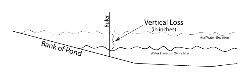 Vetical Loss of Water in Lake or Pond